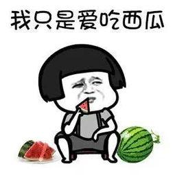 吃瓜星娱乐是什么